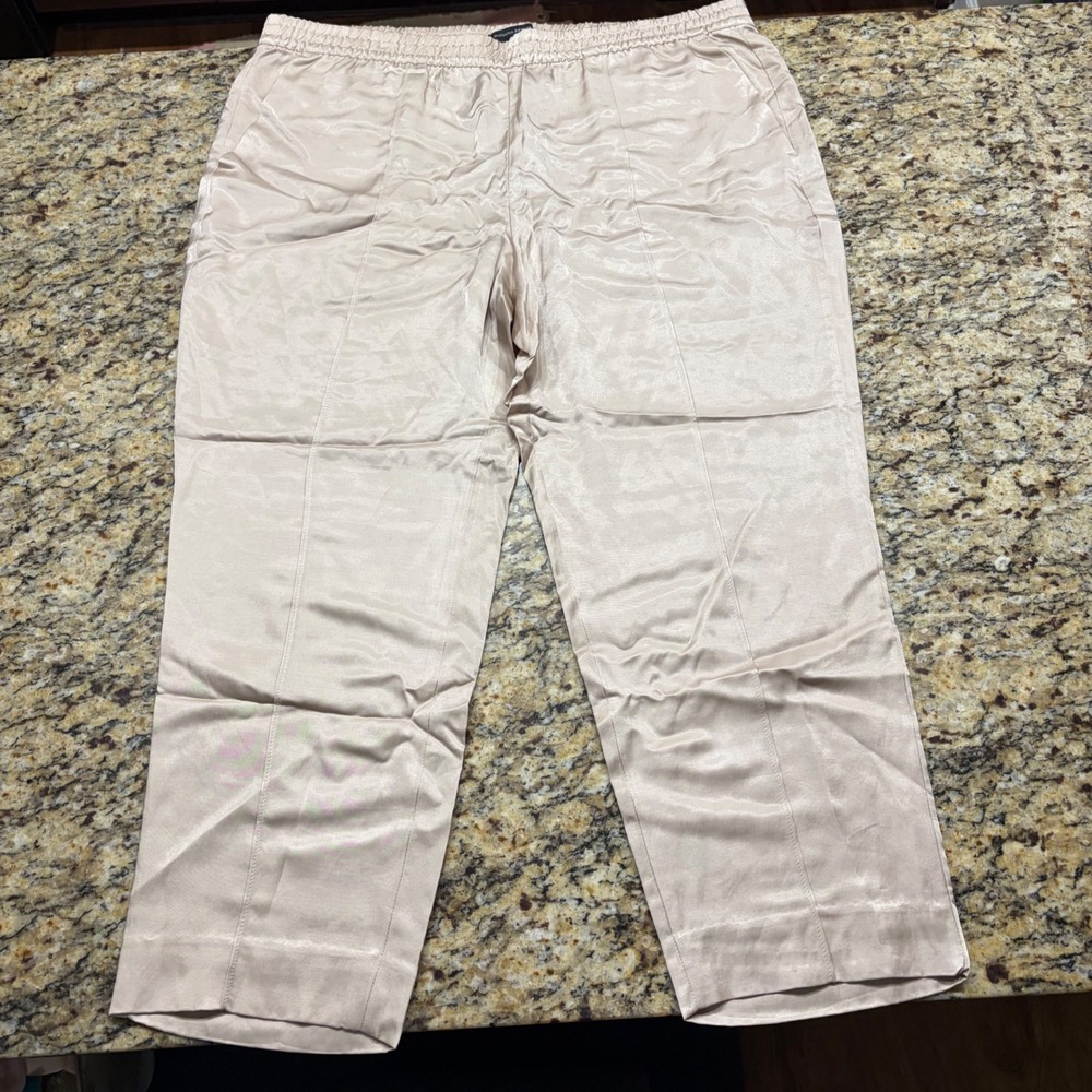 NEW Banana Republic Womens XL Satin Pull On Pants Beige Champagne Straight ws
